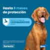 Seresto Collar Antiparasitario para Perros Más de 8kg