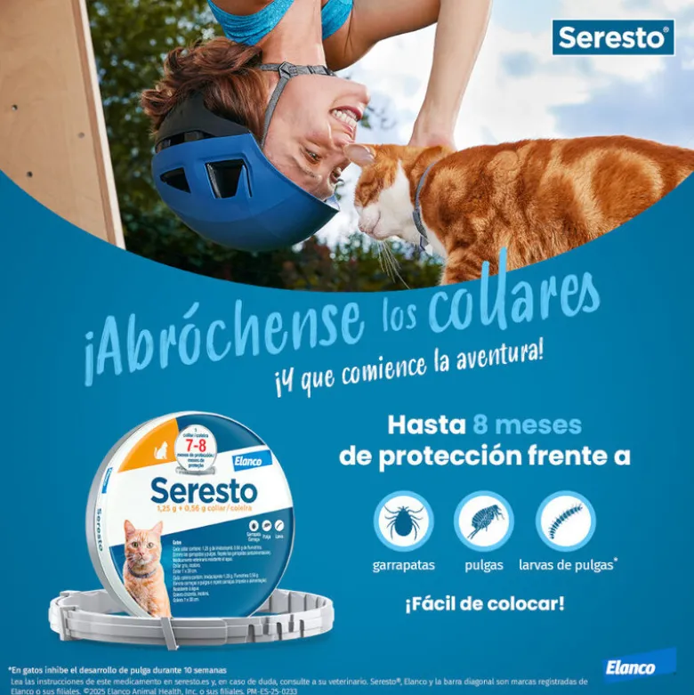 Seresto Collar Antiparasitario para Gatos
