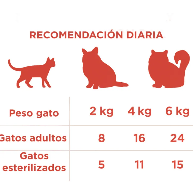 Snack Fresh Pillow Bites Urinary PH Support para Gatos
