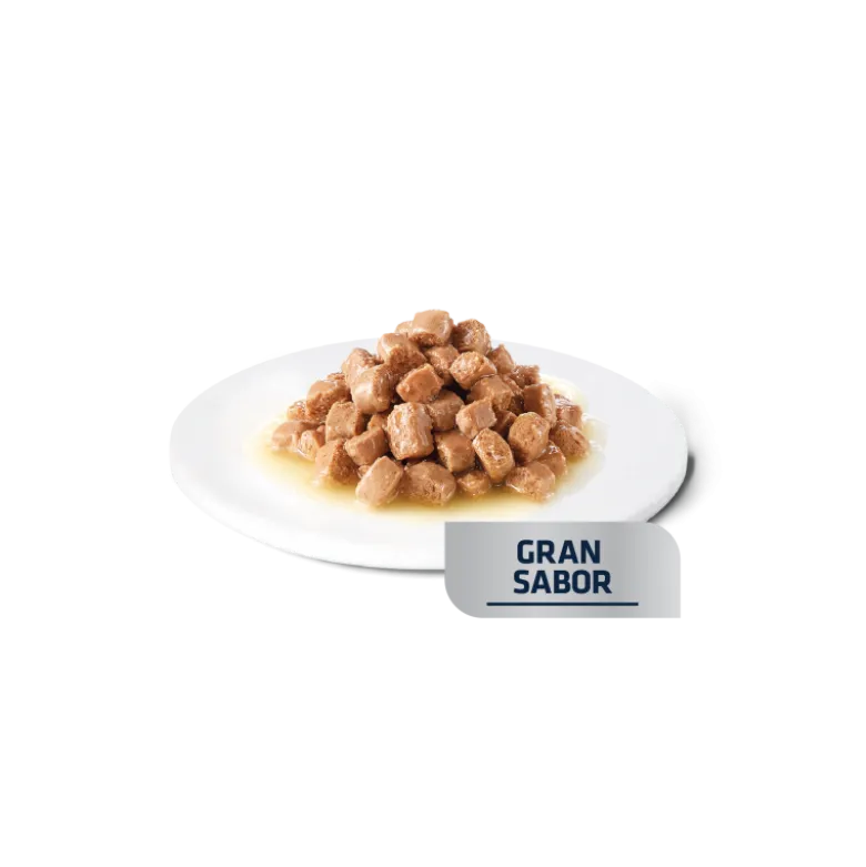 Sobre Advance Veterinary Diets Cat Gastroenteric 85g