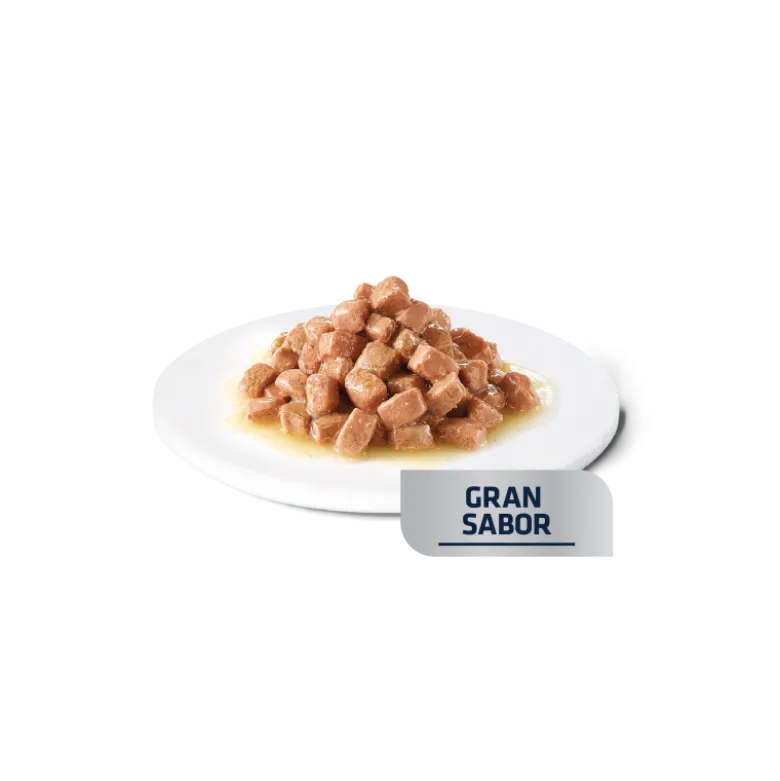 Sobre Advance Veterinary Diets Dog Recovery 100g