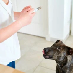 Suplemento Virbac Pronefra para Perros y Gatos