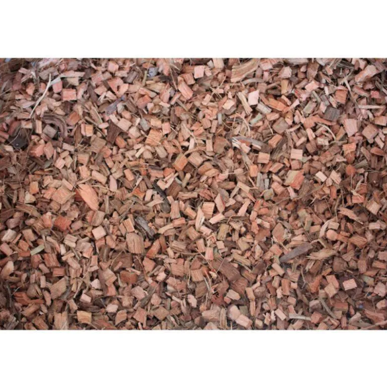 Sustrato Corteza de Coco para Terrarios (500g)