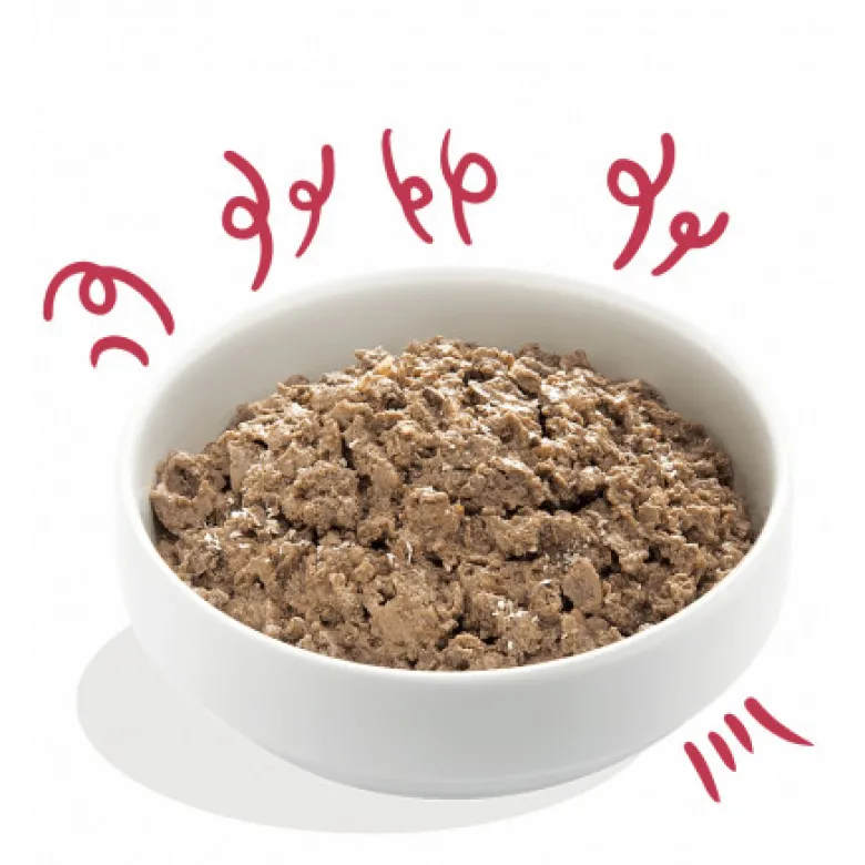 Tarrina Edgard Cooper Ternera Ecológico Adult Bio 100g