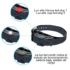 Training Remote Dog Collar Adiestramiento Acuatico