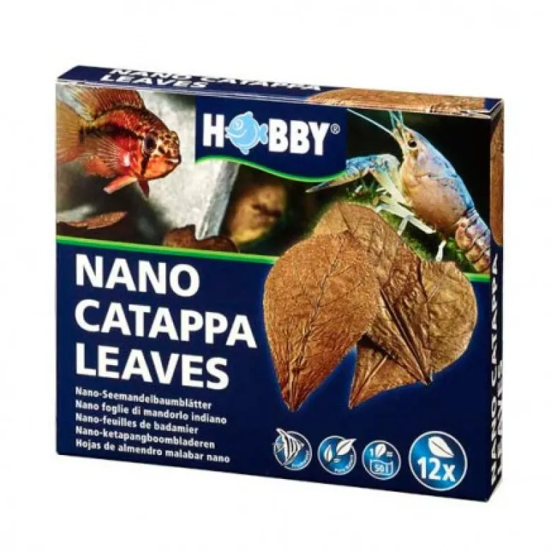 Tratamiento Acuario Almendro Malabar Nano