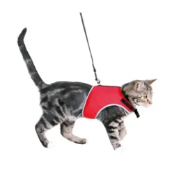 Trixie Arnés Suave Correa para Gatos 24-42cm 1,20m