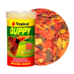 Tropical Guppy para Peces