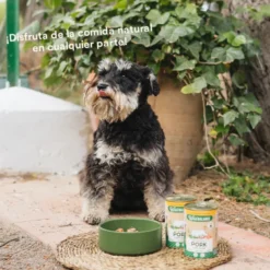 Wild Balance Menú Completo Cocinado al vapor Cerdo para Perros