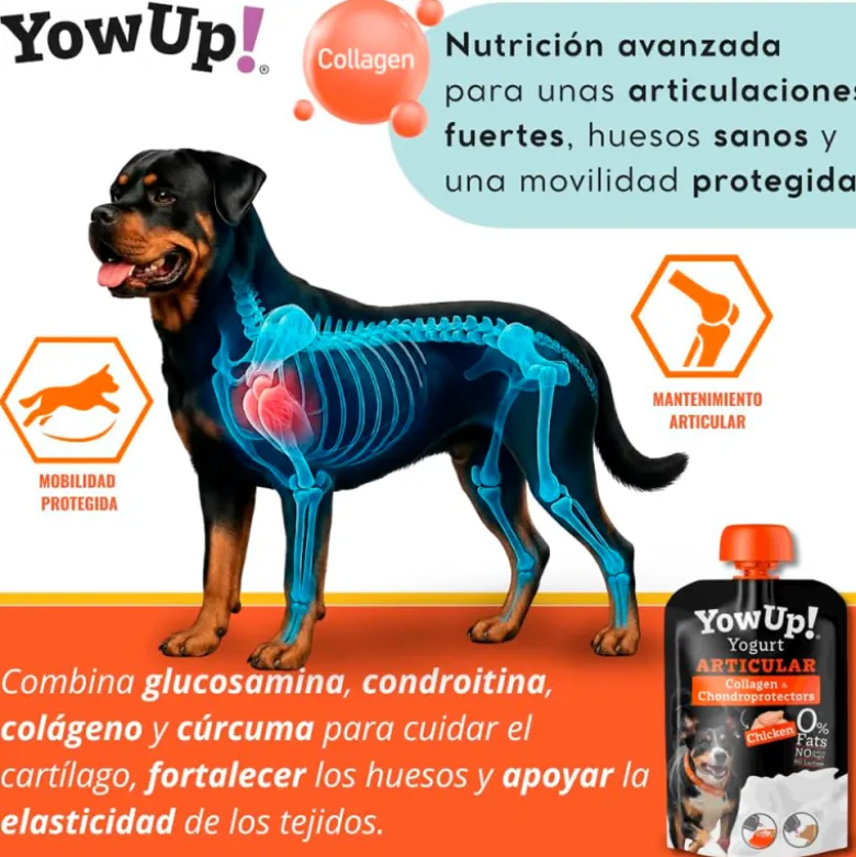 YowUp! Articular Sabor Pollo para Perro