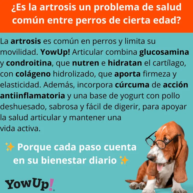 YowUp! Articular Sabor Pollo para Perro
