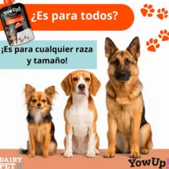 YowUp! Articular Sabor Pollo para Perro