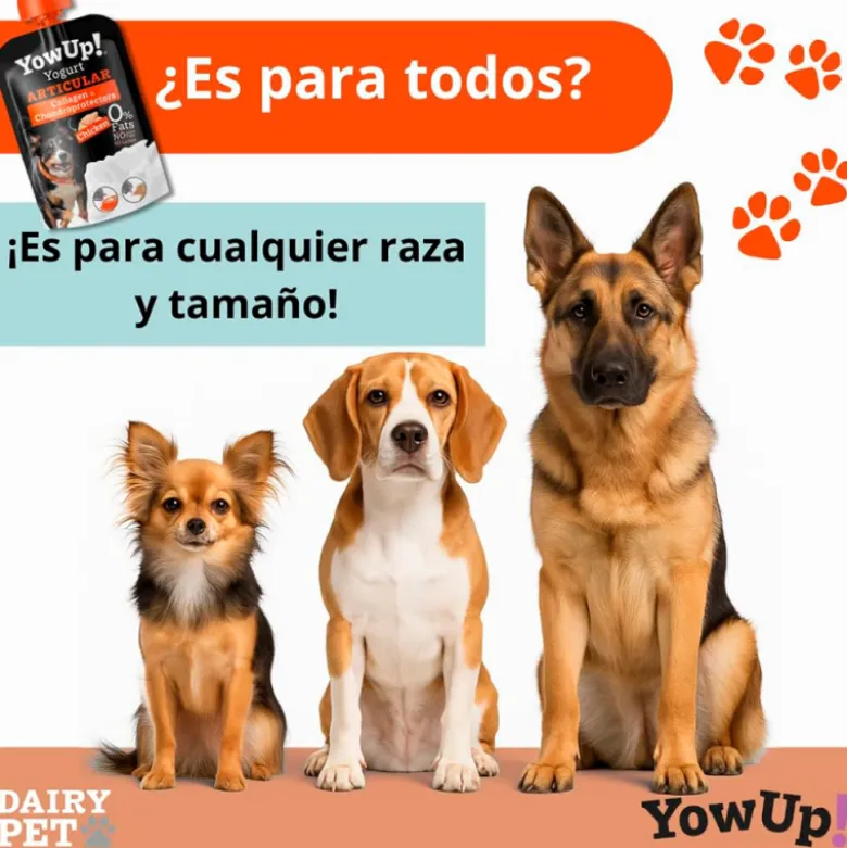 YowUp! Articular Sabor Pollo para Perro