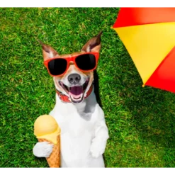 YowUp! Helado Yogurt Hot Dog para Perros