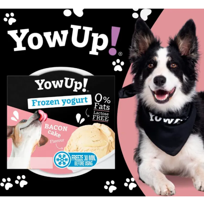 YowUp! Helado Yogurt Tarta de Bacon para Perro
