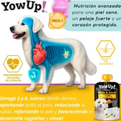 YowUp! Skin & Hair Salmón para Perro