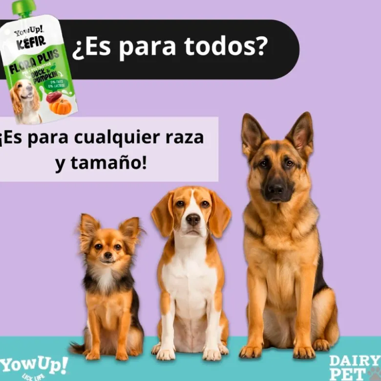 YowUp! Yogurt Kefir Flora Plus Pato y Calabaza para Perros